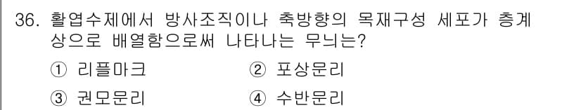 임산가공기사 2019년 36번 - 정답과 핵심 포인트를 검수 중인 기출문제