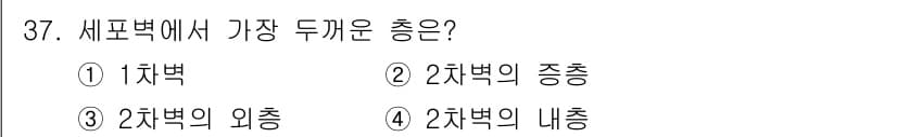 임산가공기사 2019년 37번 - 정답과 핵심 포인트를 검수 중인 기출문제