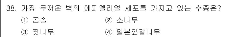 임산가공기사 2019년 38번 - 정답과 핵심 포인트를 검수 중인 기출문제