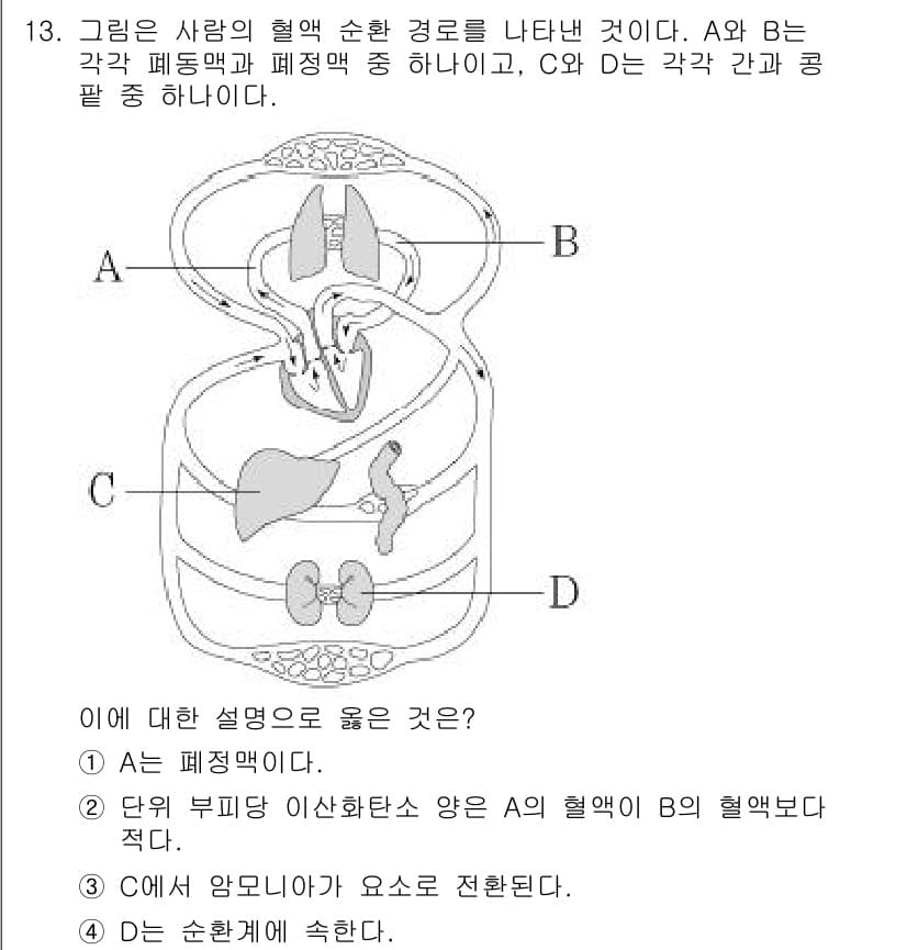 소방공무원(공개)_과학(구) 2019년 13번 - 정답과 핵심 포인트를 검수 중인 기출문제