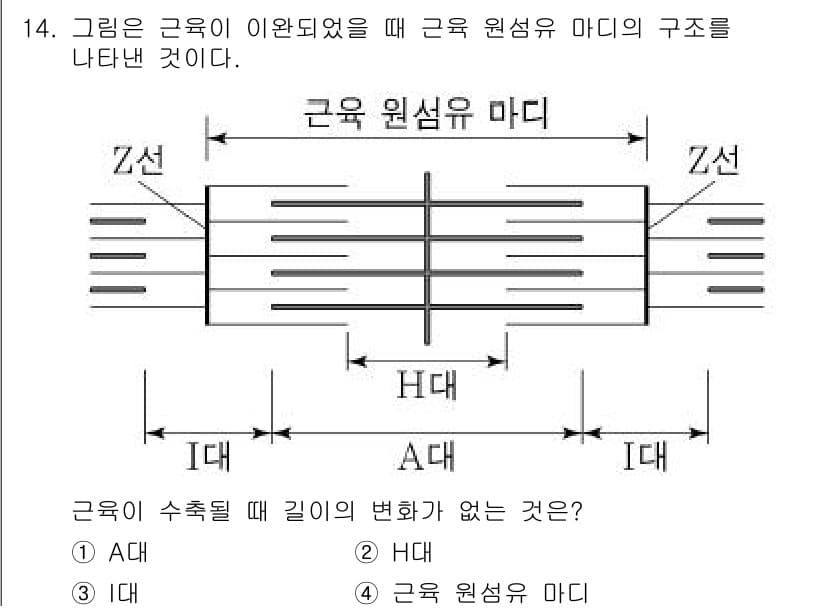 소방공무원(공개)_과학(구) 2019년 14번 - 정답과 핵심 포인트를 검수 중인 기출문제