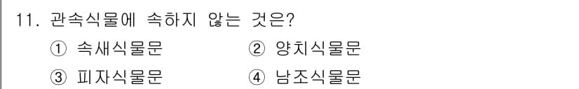 생물분류기사(동물) 2015년 11번 - 관속식물에 속하지 않는 것은 3번 '피자식물문'입니다. 피자식물문은 원생... 에 관한 핵심 기출문제
