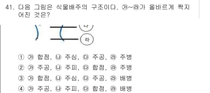 생물분류기사(동물) 2016년 41번 - 해설: 그림에서는 식물배주에서 각각의 구조물(주황, 초록 등)이 나타나며... 에 관한 핵심 기출문제