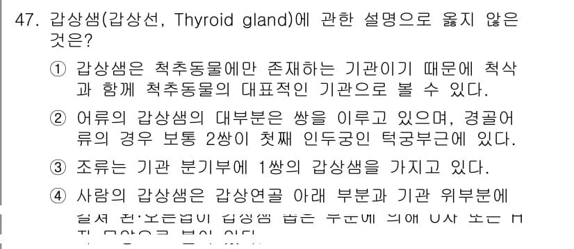 생물분류기사(동물) 2016년 47번 - 정답은 2번이다. 갑상선은 척추동물에만 존재하는 기관이기 때문에, 비척추... 에 관한 핵심 기출문제