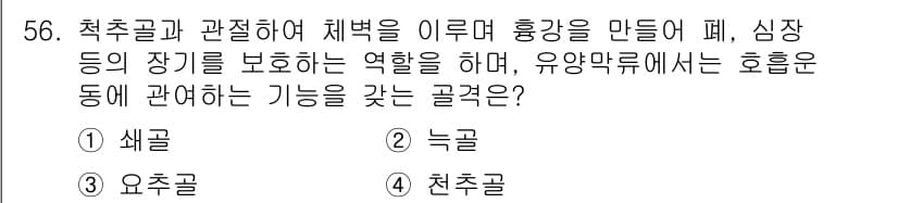 생물분류기사(동물) 2016년 56번 - 정답과 핵심 포인트를 검수 중인 기출문제