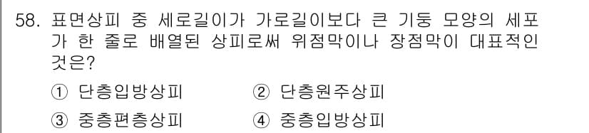 생물분류기사(동물) 2016년 58번 - 정답인 ② 단충엽주상피는 생물체에서 세포의 구조와 배열 방식이 특정한 형... 에 관한 핵심 기출문제