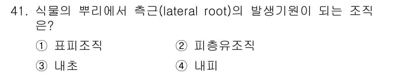 생물분류기사(동물) 2017년 41번 - 정답과 핵심 포인트를 검수 중인 기출문제