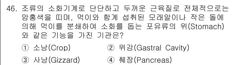 생물분류기사(동물) 2017년 46번 - 정답은 3번, 샘입니다. 샘은 음식을 조리하고 소화되는 과정에서 중요한 ... 에 관한 핵심 기출문제