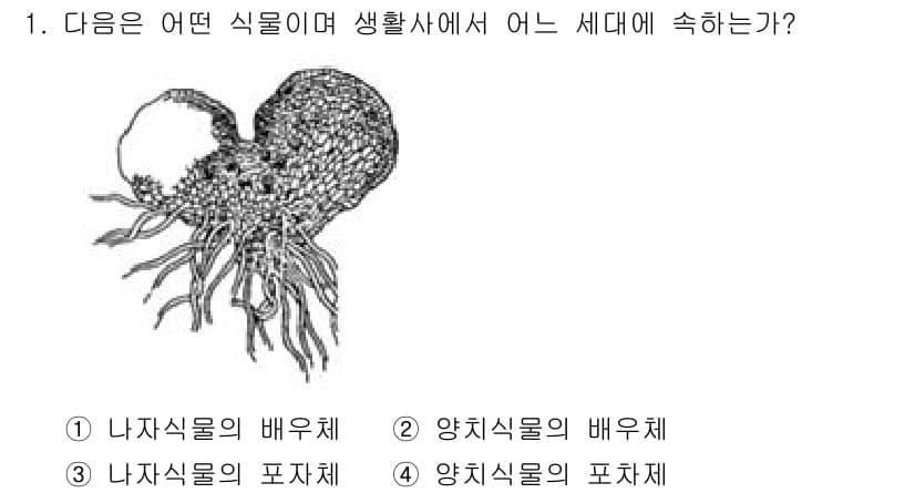 생물분류기사(식물) 2018년 1번 - 정답과 핵심 포인트를 검수 중인 기출문제