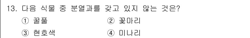 생물분류기사(식물) 2018년 13번 - 정답과 핵심 포인트를 검수 중인 기출문제