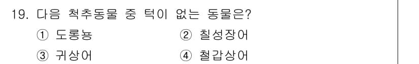 생물분류기사(식물) 2018년 19번 - 정답과 핵심 포인트를 검수 중인 기출문제