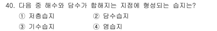 생물분류기사(식물) 2018년 40번 - 정답과 핵심 포인트를 검수 중인 기출문제