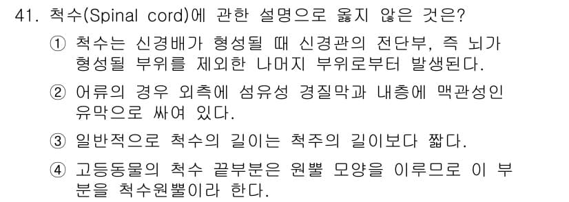 생물분류기사(식물) 2018년 41번 - 척수는 고동적인 기능을 담당하며, 척수 끝부분은 원뿔 모양으로 되어 있습... 에 관한 핵심 기출문제