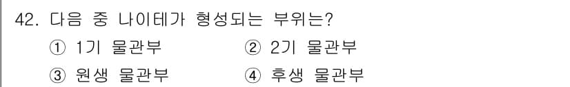 생물분류기사(식물) 2018년 42번 - 정답과 핵심 포인트를 검수 중인 기출문제