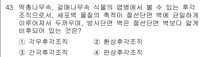 생물분류기사(식물) 2018년 43번 - 정답과 핵심 포인트를 검수 중인 기출문제