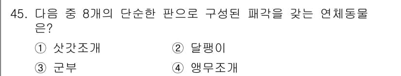 생물분류기사(식물) 2018년 45번 - 정답과 핵심 포인트를 검수 중인 기출문제