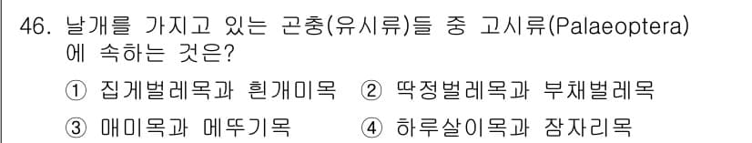 생물분류기사(식물) 2018년 46번 - 정답과 핵심 포인트를 검수 중인 기출문제