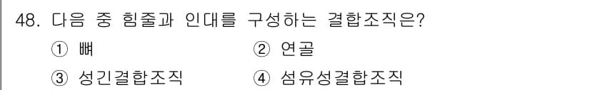 생물분류기사(식물) 2018년 48번 - 정답과 핵심 포인트를 검수 중인 기출문제