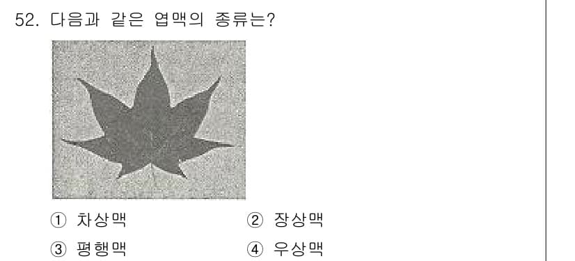 생물분류기사(식물) 2018년 52번 - 정답과 핵심 포인트를 검수 중인 기출문제