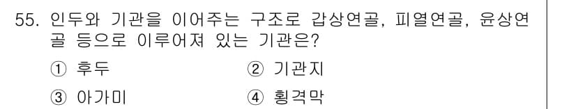 생물분류기사(식물) 2018년 55번 - 정답과 핵심 포인트를 검수 중인 기출문제