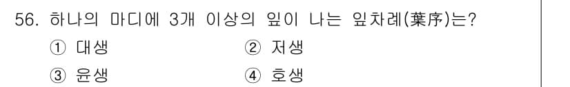 생물분류기사(식물) 2018년 56번 - 정답과 핵심 포인트를 검수 중인 기출문제