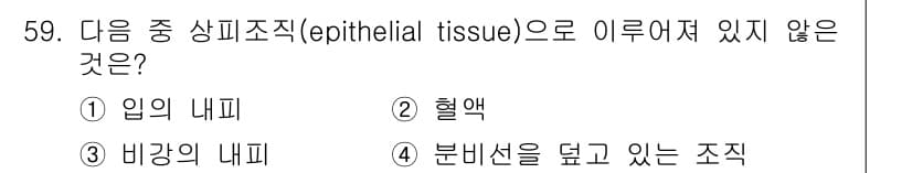 생물분류기사(식물) 2018년 59번 - 정답과 핵심 포인트를 검수 중인 기출문제