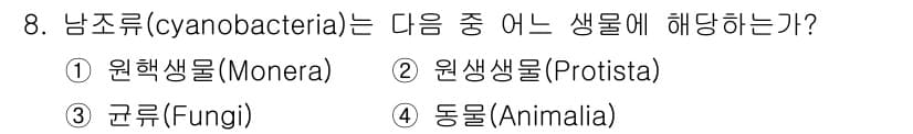 생물분류기사(식물) 2018년 8번 - 정답과 핵심 포인트를 검수 중인 기출문제