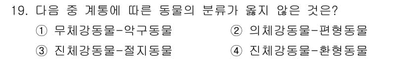 생물분류기사(식물) 2019년 19번 - 정답과 핵심 포인트를 검수 중인 기출문제