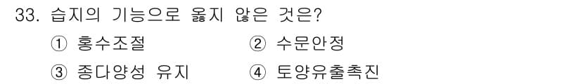 생물분류기사(식물) 2019년 33번 - 정답과 핵심 포인트를 검수 중인 기출문제