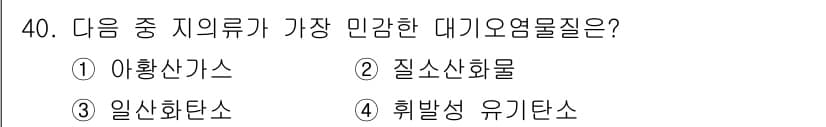 생물분류기사(식물) 2019년 40번 - 정답과 핵심 포인트를 검수 중인 기출문제