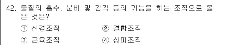 생물분류기사(식물) 2019년 42번 - 정답과 핵심 포인트를 검수 중인 기출문제