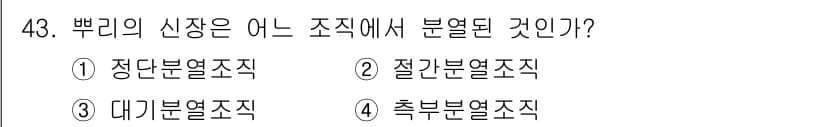 생물분류기사(식물) 2019년 43번 - 정답과 핵심 포인트를 검수 중인 기출문제