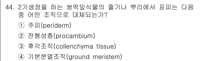 생물분류기사(식물) 2019년 44번 - 정답과 핵심 포인트를 검수 중인 기출문제