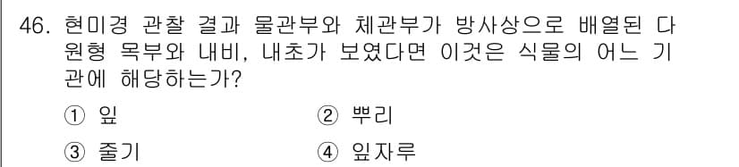생물분류기사(식물) 2019년 46번 - 정답과 핵심 포인트를 검수 중인 기출문제