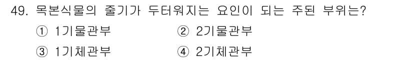 생물분류기사(식물) 2019년 49번 - 정답과 핵심 포인트를 검수 중인 기출문제