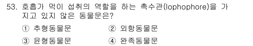 생물분류기사(식물) 2019년 53번 - 정답과 핵심 포인트를 검수 중인 기출문제