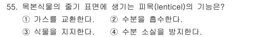 생물분류기사(식물) 2019년 55번 - 정답과 핵심 포인트를 검수 중인 기출문제