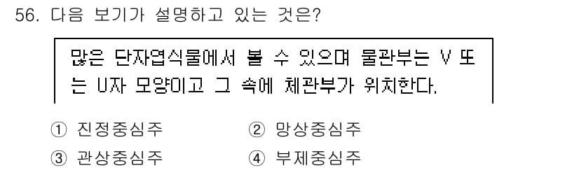 생물분류기사(식물) 2019년 56번 - 정답과 핵심 포인트를 검수 중인 기출문제