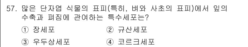생물분류기사(식물) 2019년 57번 - 정답과 핵심 포인트를 검수 중인 기출문제