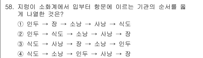 생물분류기사(식물) 2019년 58번 - 식물의 분류 순서는 잎의 구조 및 형태가 주된 기준이 되며, 이 순서에서... 에 관한 핵심 기출문제
