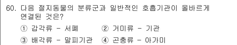 생물분류기사(식물) 2019년 60번 - 정답과 핵심 포인트를 검수 중인 기출문제