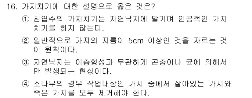 9급_지방직_공무원_조림 2017년 16번 - 가치치기에서 올바른 설명은 주로 생태계와 자원 관리와 관련됩니다. 침엽수... 에 관한 핵심 기출문제