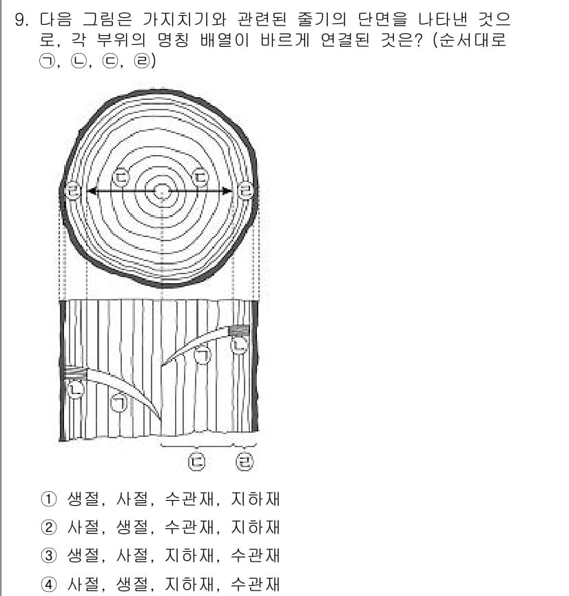 9급_지방직_공무원_조림 2017년 9번 - 이 그림은 나무의 단면을 나타내며, 각 부분의 기능과 역할을 설명합니다.... 에 관한 핵심 기출문제