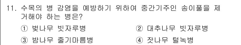 9급_지방직_공무원_조림 2019년 11번 - 정답과 핵심 포인트를 검수 중인 기출문제