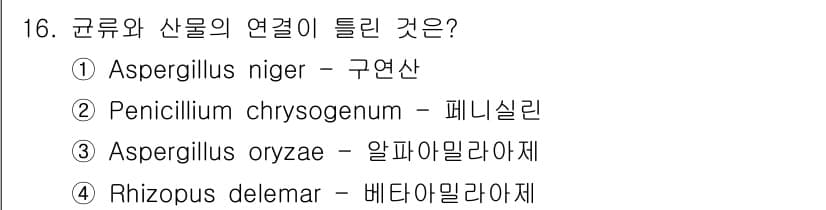 바이오화학제품제조기사 2015년 16번 - 정답과 핵심 포인트를 검수 중인 기출문제