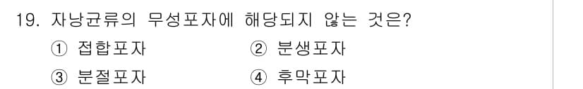 바이오화학제품제조기사 2015년 19번 - 정답과 핵심 포인트를 검수 중인 기출문제