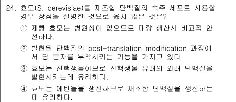 바이오화학제품제조기사 2015년 24번 - . 효모는 에탄올을 생산하도록 재조합 단백질 생산하는 데 유리하다.

이... 에 관한 핵심 기출문제