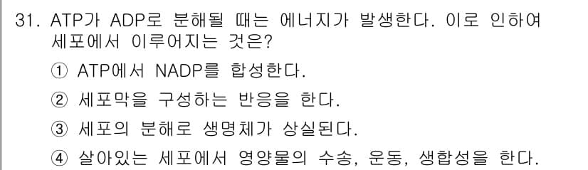 바이오화학제품제조기사 2017년 31번 - ATP가 ADP로 분해될 때 에너지가 방출되며, 이 에너지는 세포 내 다... 에 관한 핵심 기출문제