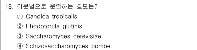 바이오화학제품제조기사 2018년 18번 - 정답은 4번 Schizosaccharomyces pombe입니다. 이 효... 에 관한 핵심 기출문제