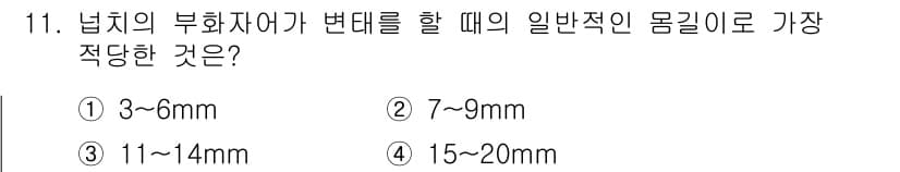 수산양식산업기사 2015년 11번 - 정답과 핵심 포인트를 검수 중인 기출문제